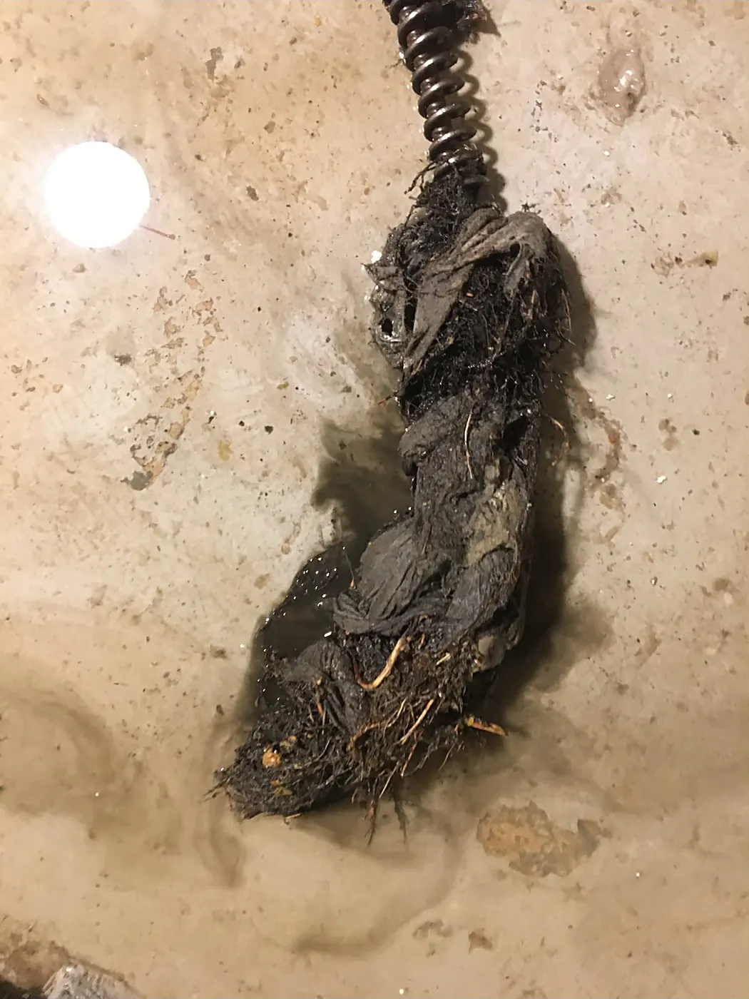 Tree roots and wipes pulled from a sewer line on a drain cleaning cable